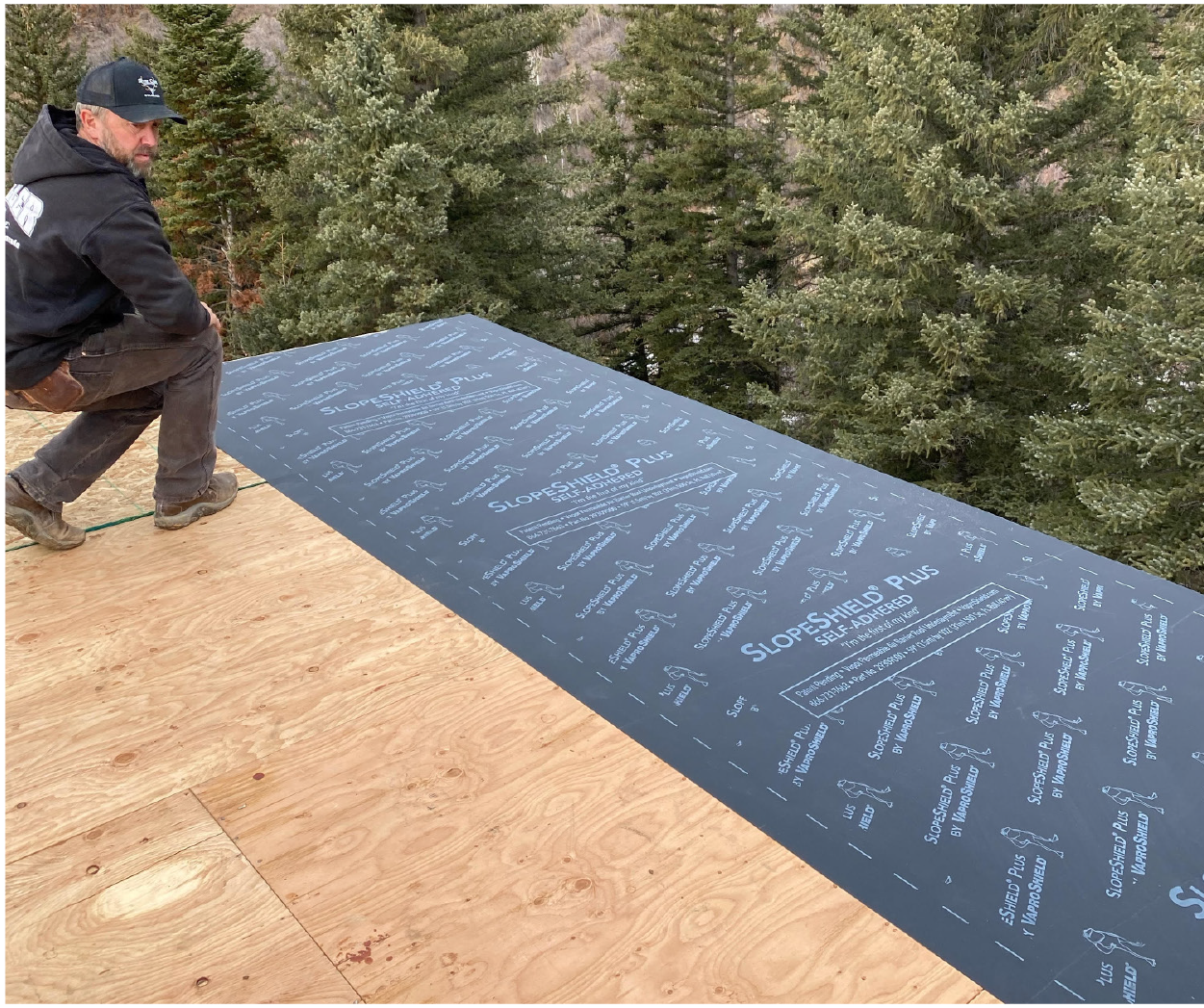 BackandFold Images 08