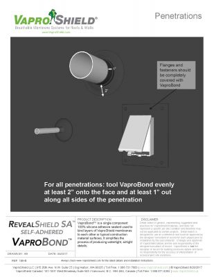 RevealShield SA Penetrations